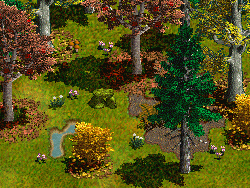 Herbstszene